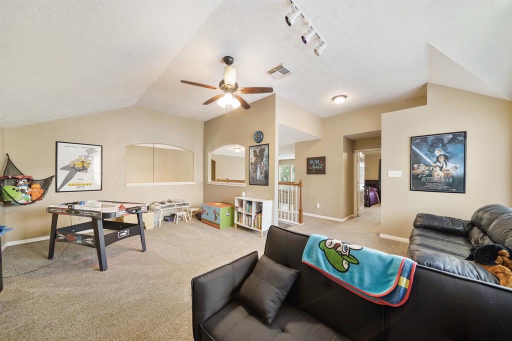 20322 Stone Falls Court, Cypress, Texas image 20