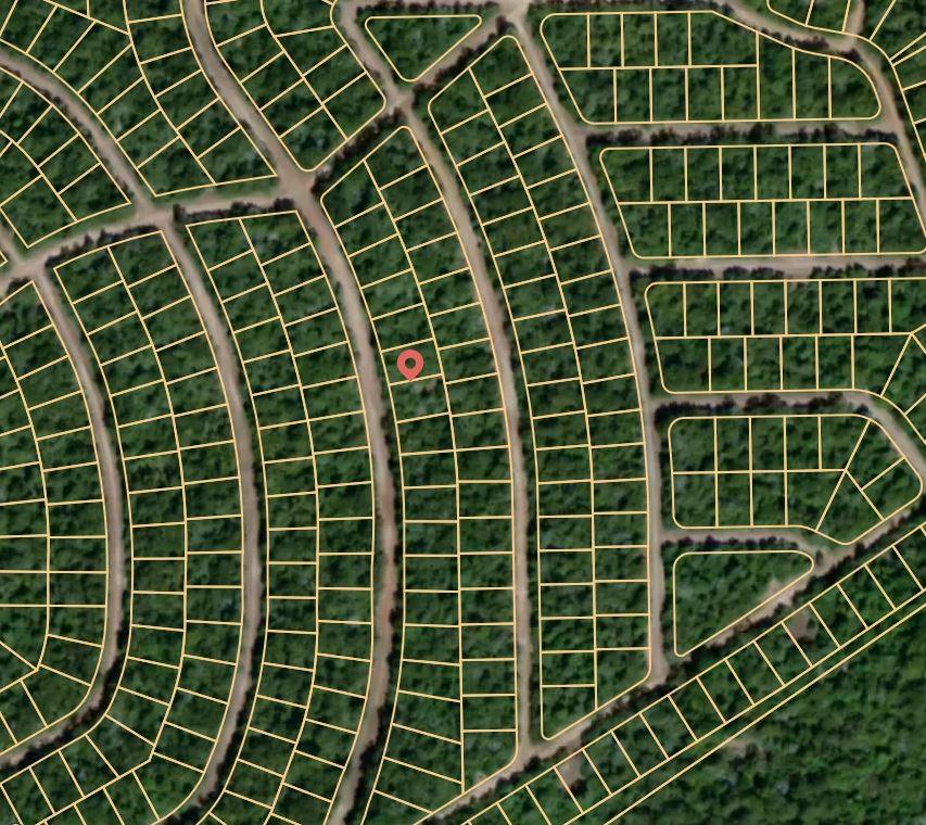 Lot 32 Hickory Ridge Drive, Normangee, Texas image 3