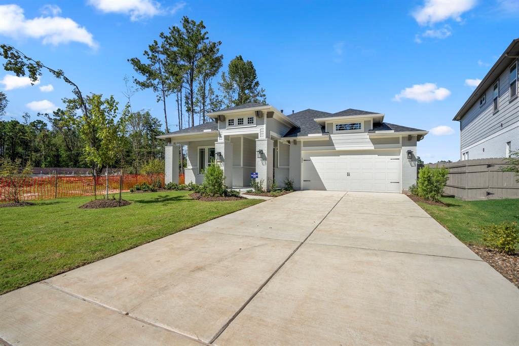 17311 Sunflower Petals Trail