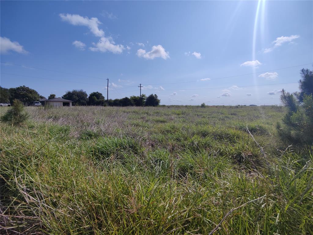 20699 Ruby Street, Prairie View, Texas image 3