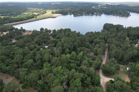 Vacant Land For Sale - 145 Crossed Arrows<br/> Houston County, Grapeland, TX 75844