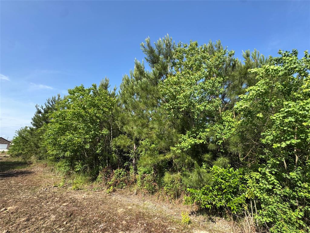 67 Road 5102, Cleveland, Texas image 5