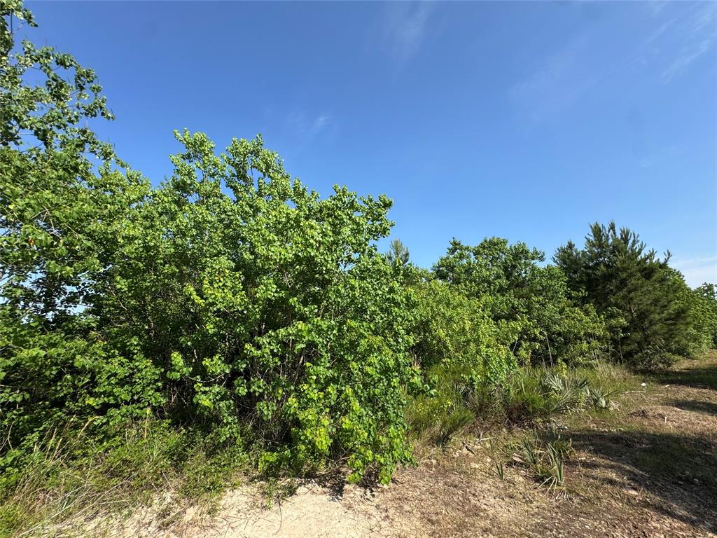 67 Road 5102, Cleveland, Texas image 7