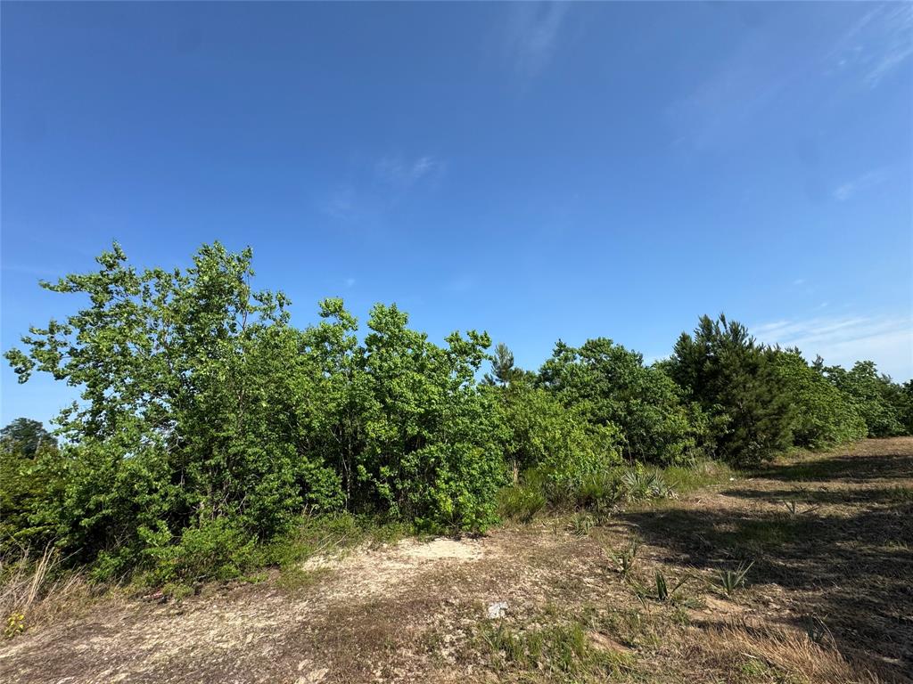67 Road 5102, Cleveland, Texas image 6