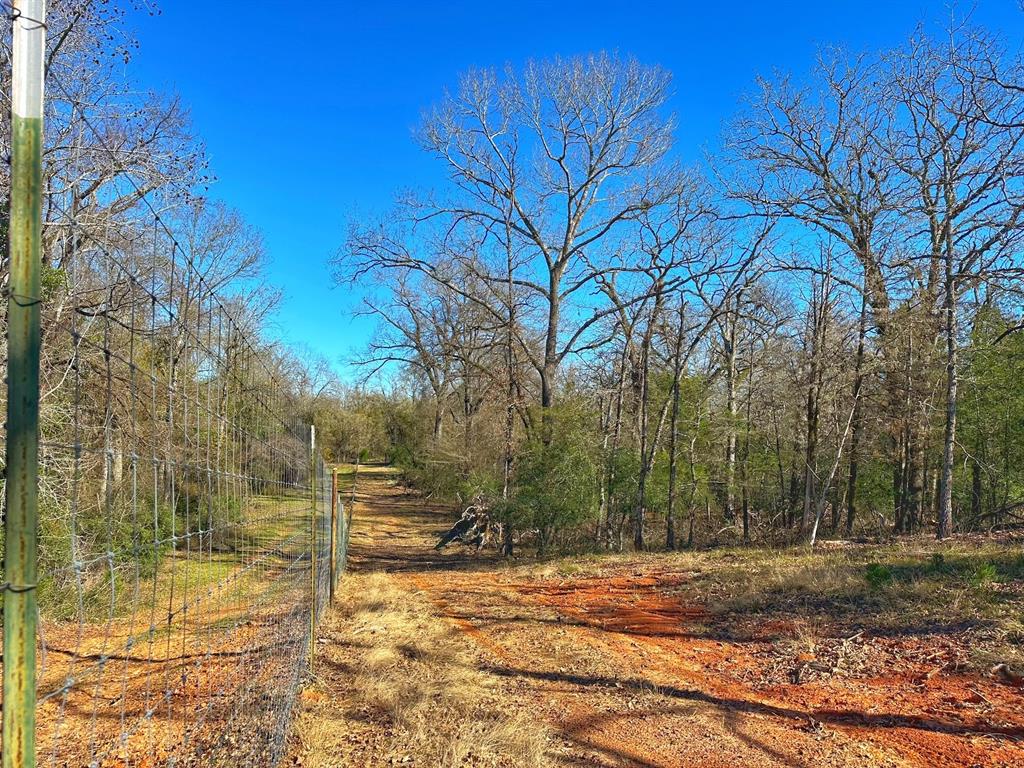 610 Fcr 301, Oakwood, Texas image 46