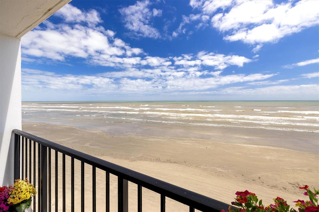11947 Termini San Luis Pass Road #204, Galveston, Texas image 24