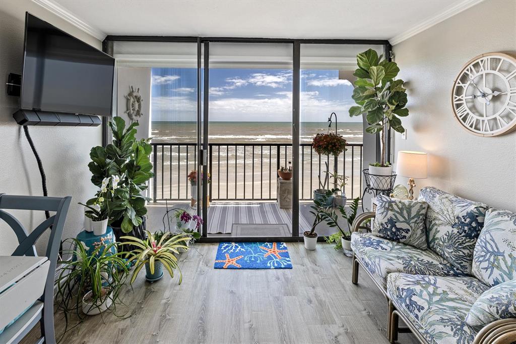 11947 Termini San Luis Pass Road #204, Galveston, Texas image 12