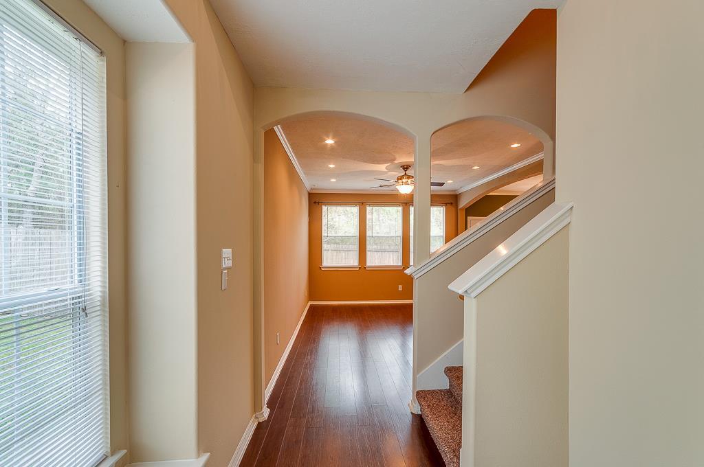 50 E Stedhill Loop