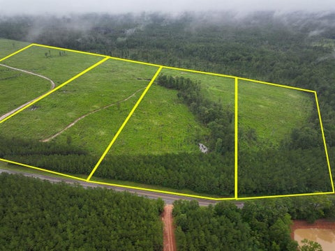 Vacant Land For Sale - 1 Fm 1276<br/> Dallardsville, TX 77351