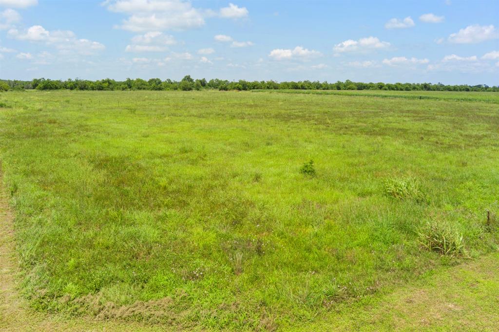 TBD Vacek Street, Alvin, Texas image 12