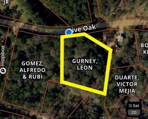 TBD Live Oak Drive Plantersville TX 77363