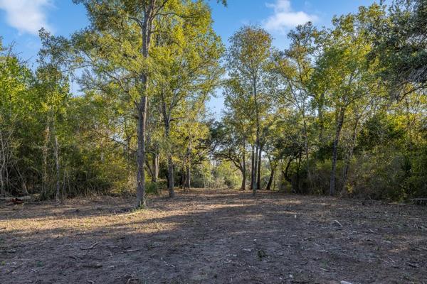 TBD Drake Lane-lot 8, Round Top, Texas image 5