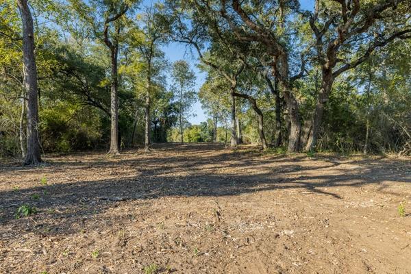 TBD Drake Lane-lot 8, Round Top, Texas image 4