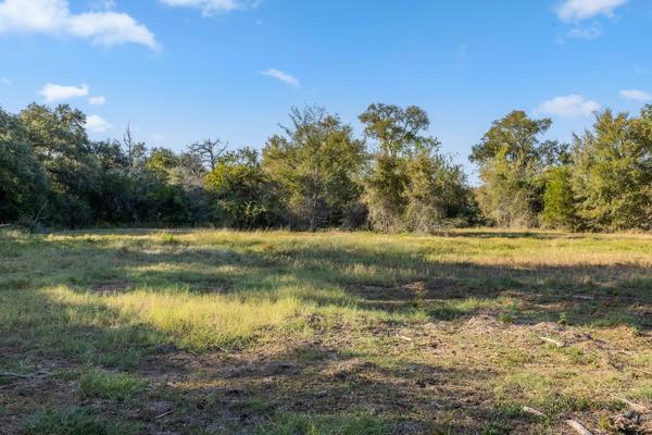 TBD Drake Lane-lot 8, Round Top, Texas image 3