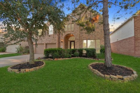 Single Family Residence in Katy TX 26639 Richwood Oaks Drive.jpg