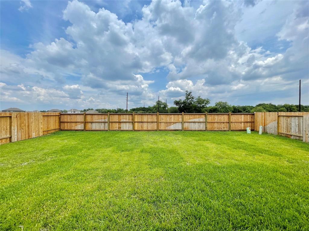 3202 Aster Meadow Way, Richmond, Texas image 20