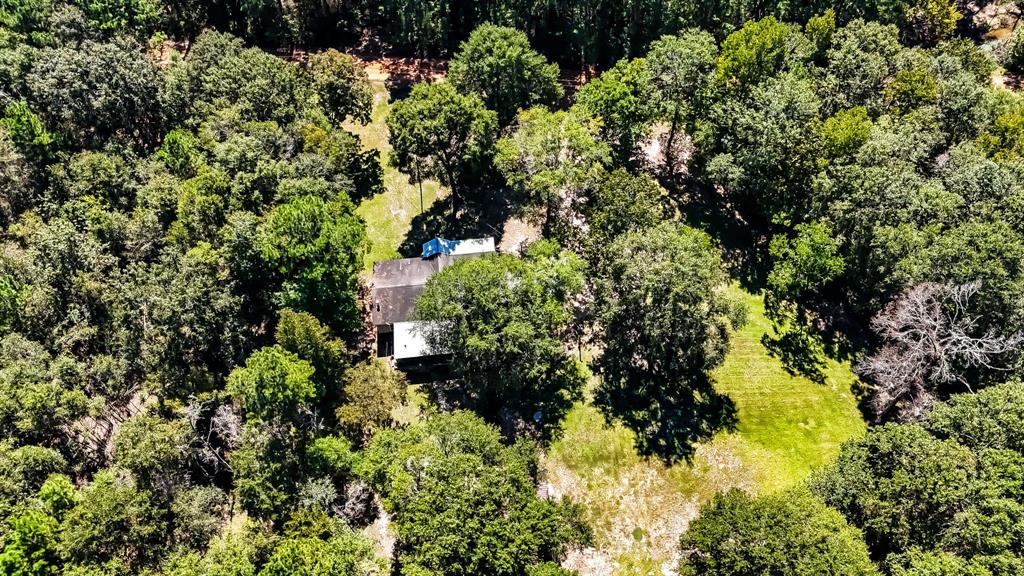 595 Andrew Jackson Drive, Livingston, Texas image 27