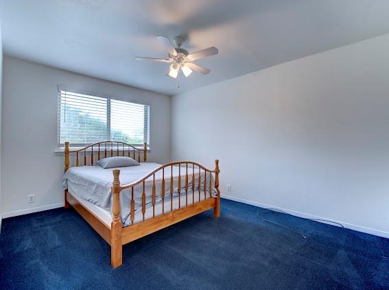 1365 Chardonnay Drive, Houston, Texas image 20