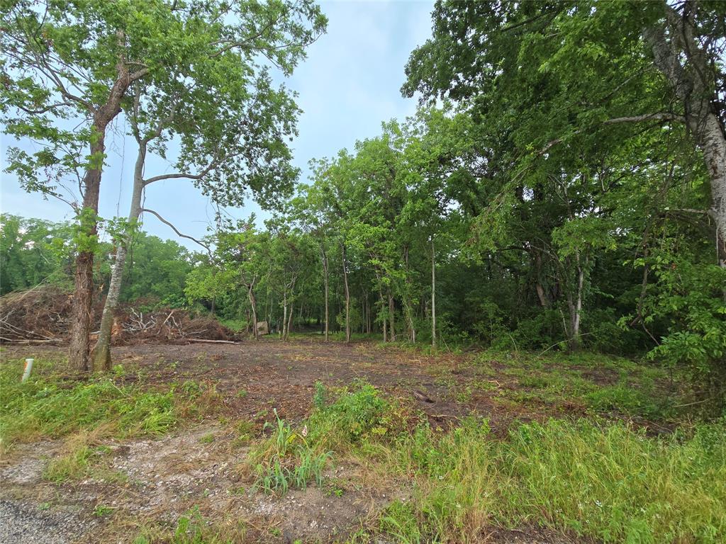 3979 Felder Road, Washington, Texas image 1