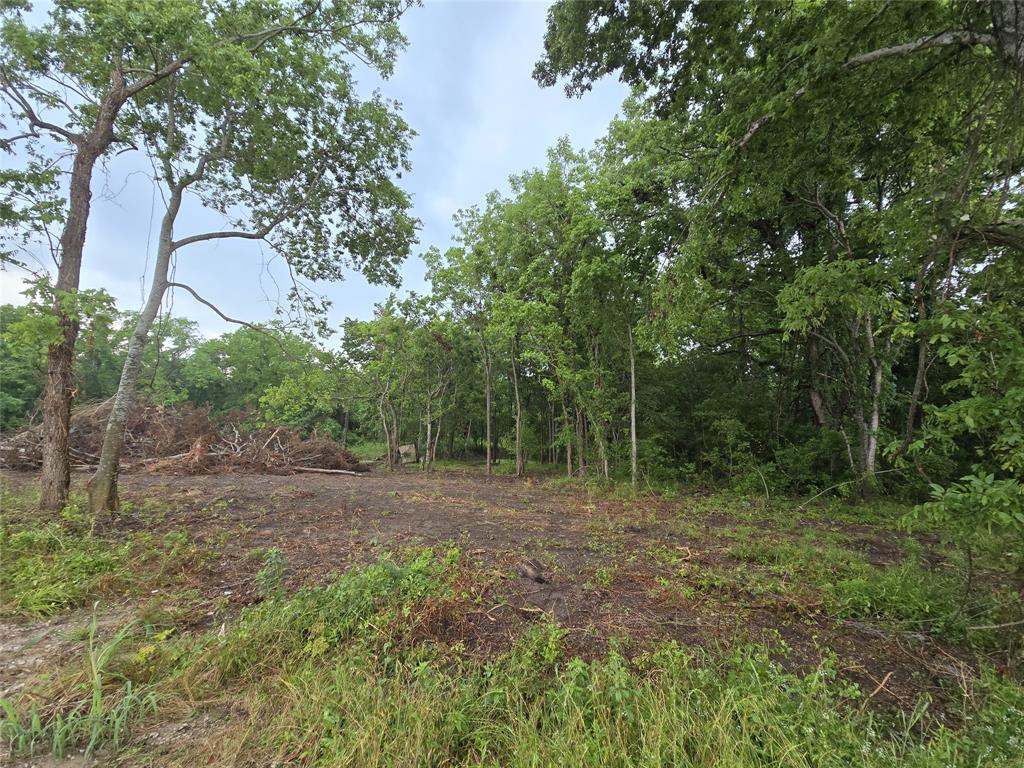 3979 Felder Road, Washington, Texas image 7