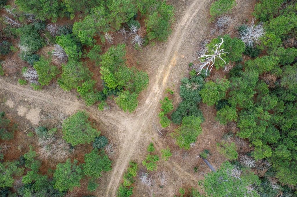 9422 Fm 62, Corrigan, Texas image 24