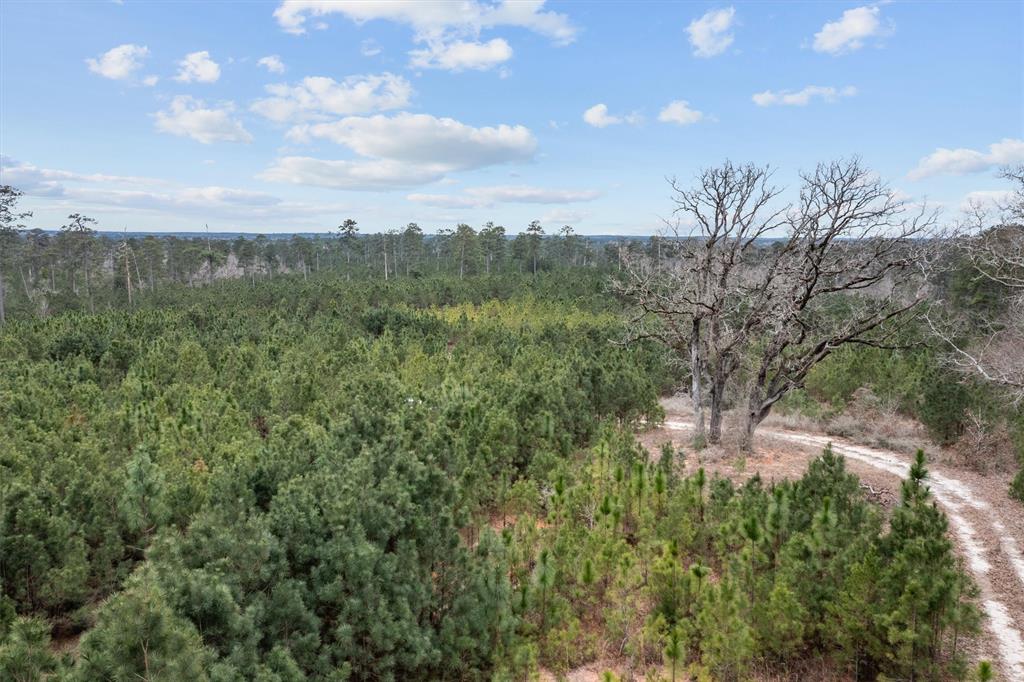 9422 Fm 62, Corrigan, Texas image 16