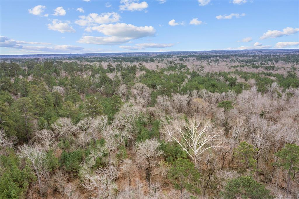 9422 Fm 62, Corrigan, Texas image 20
