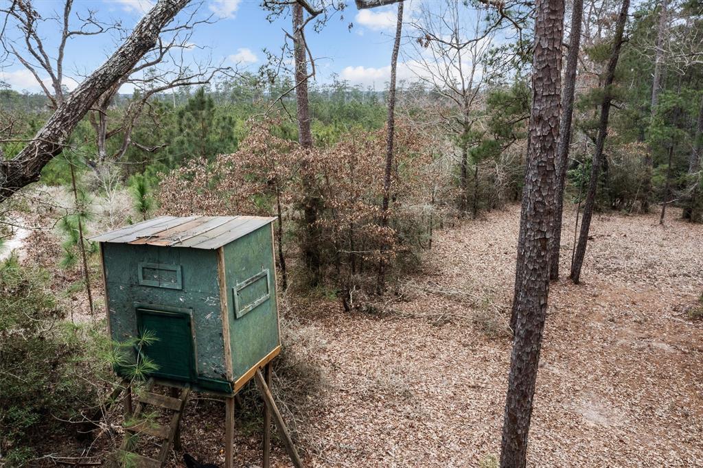 9422 Fm 62, Corrigan, Texas image 15