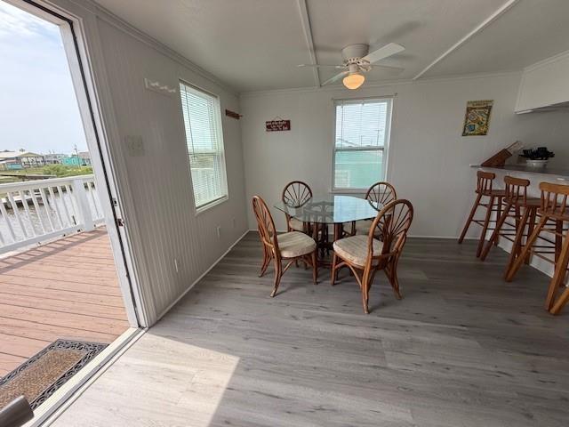 855 County Road 201, Sargent, Texas image 11