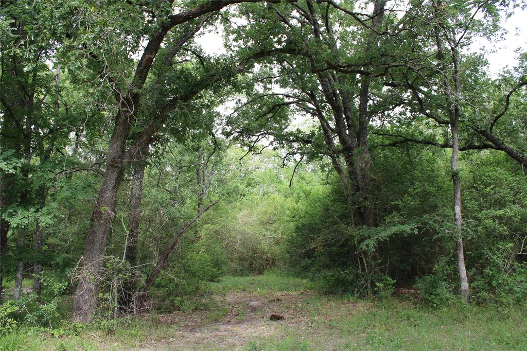 23889 Highway 30, Bedias, Texas image 8