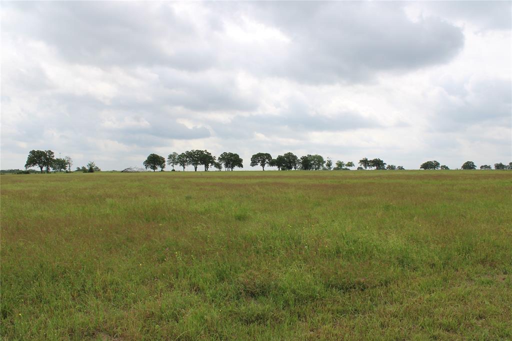 23889 Highway 30, Bedias, Texas image 25