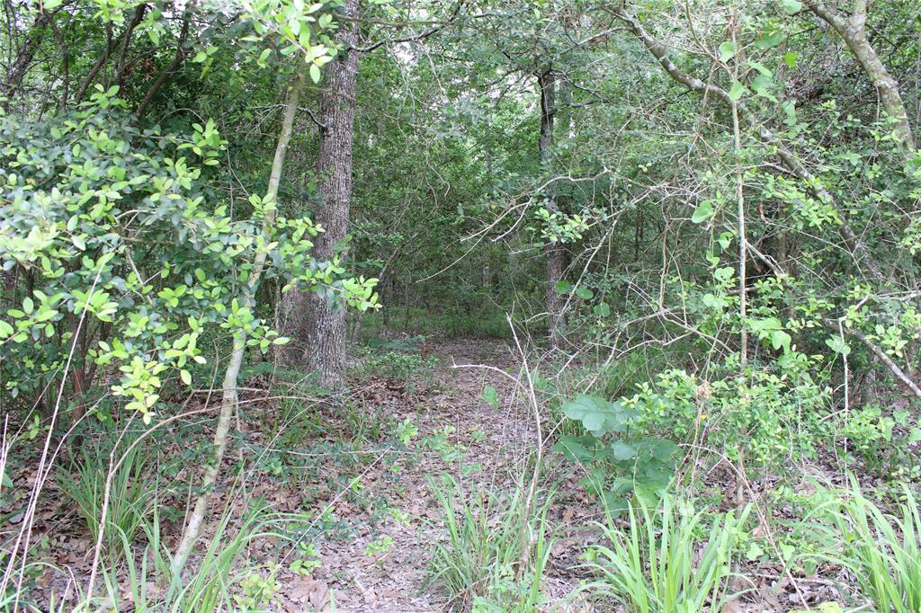 23889 Highway 30, Bedias, Texas image 7