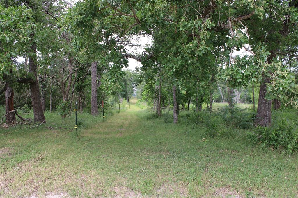 23889 Highway 30, Bedias, Texas image 15