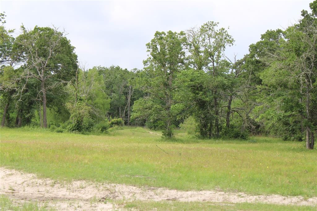 23889 Highway 30, Bedias, Texas image 6