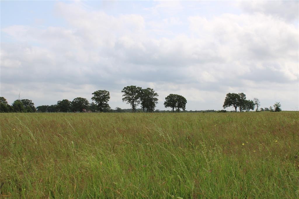 23889 Highway 30, Bedias, Texas image 2