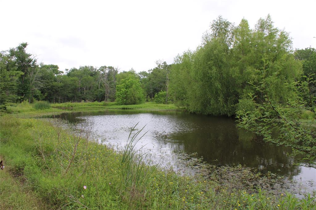 23889 Highway 30, Bedias, Texas image 12