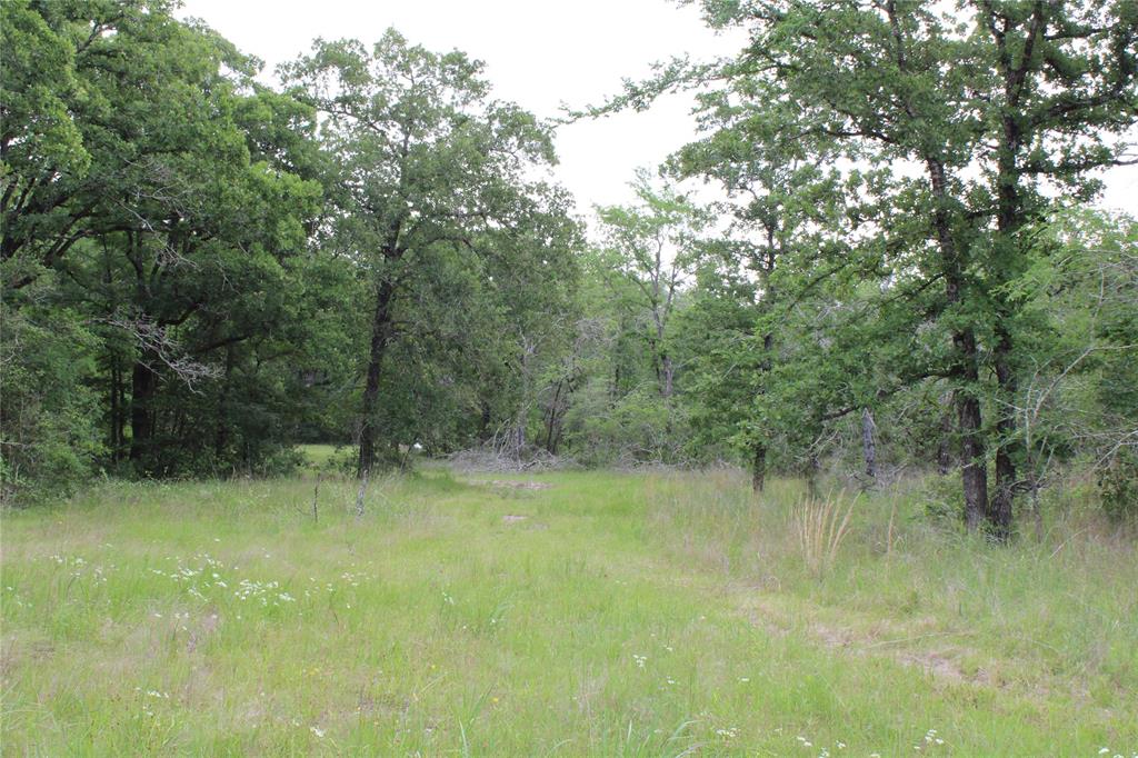 23889 Highway 30, Bedias, Texas image 20