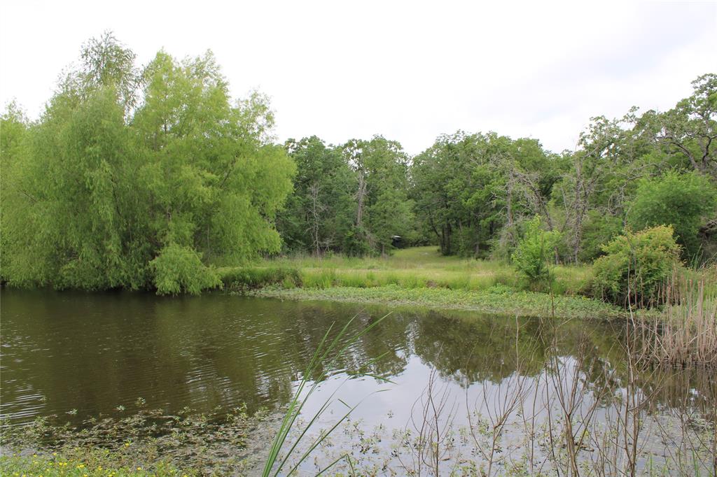 23889 Highway 30, Bedias, Texas image 13