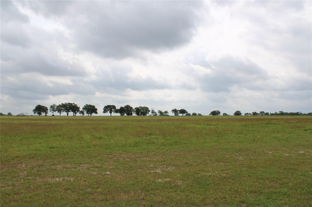 23889 Highway 30, Bedias, Texas image 26