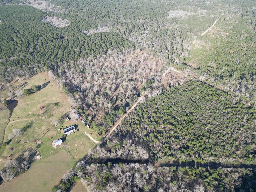 TBD 29.5 Maze Road, Livingston, Texas image 15