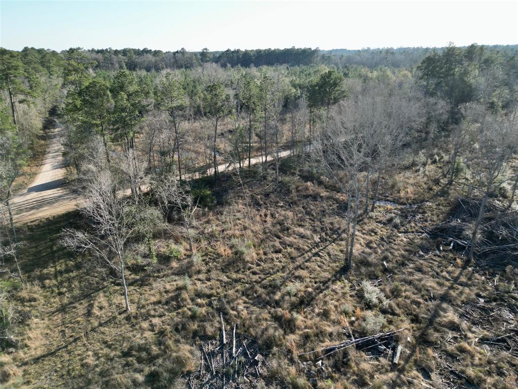 TBD 29.5 Maze Road, Livingston, Texas image 21