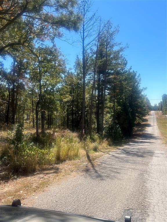 00 Tall Timbers Drive, Huntsville, Texas image 6