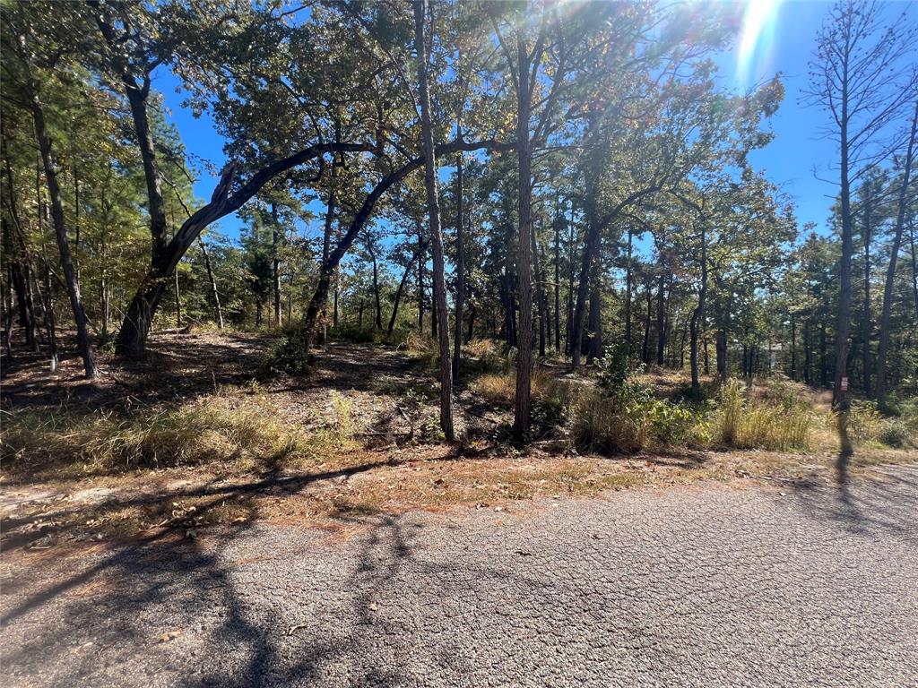 00 Tall Timbers Drive, Huntsville, Texas image 4