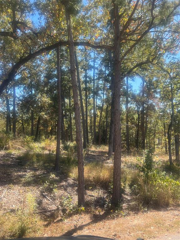 00 Tall Timbers Drive, Huntsville, Texas image 3