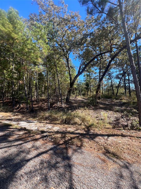 00 Tall Timbers Drive, Huntsville, Texas image 5