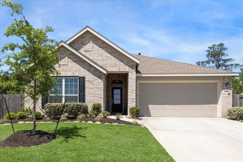23803 Via Leoni Drive New Caney TX 77357