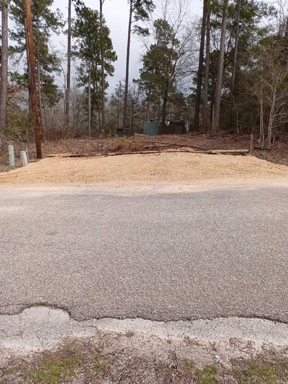 Lot 5 Impala Drive, Onalaska, Texas image 3