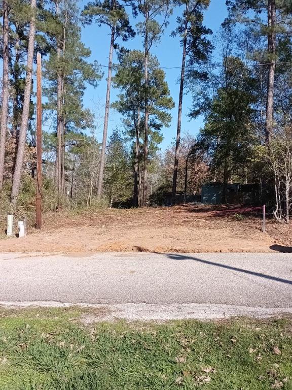 Lot 5 Impala Drive, Onalaska, Texas image 4