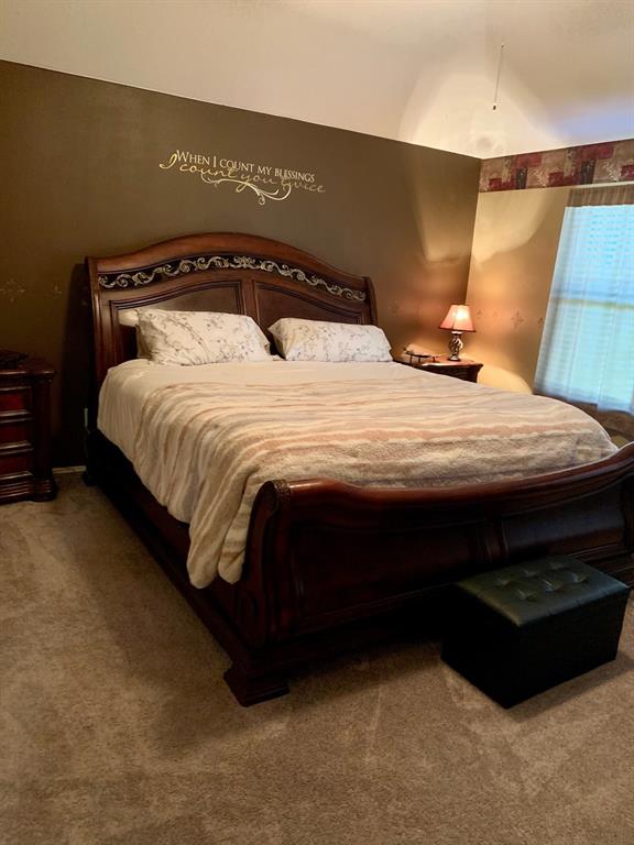 5004 Colmesneil Street, Pearland, Texas image 11