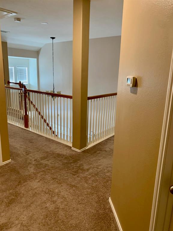 5004 Colmesneil Street, Pearland, Texas image 22